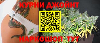прущие грибы Кимры