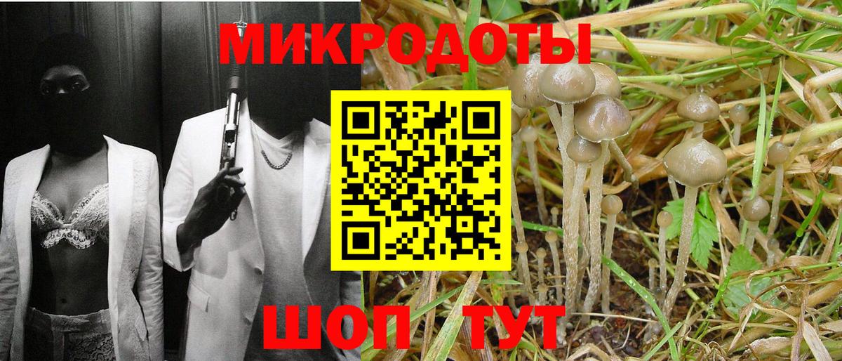 Псилоцибиновые грибы Cubensis Урус-Мартан