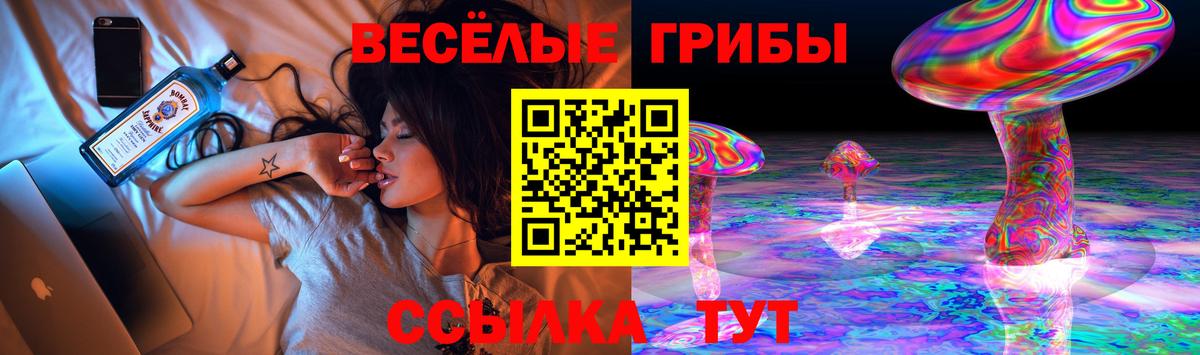 Псилоцибиновые грибы Psilocybe  закладки  Урус-Мартан  Вход с VPN  Галлюциногенные грибы Psilocybine cubensis 